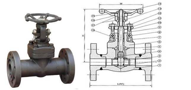 ̫tyc7111cc͸ַբṹͼ