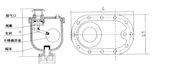 太阳成tyc7111cc官网CARV复合式排气阀结构图
